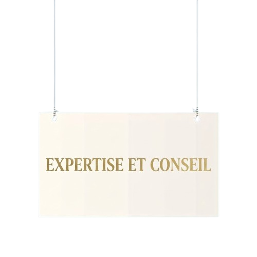 Expertise & Conseil
